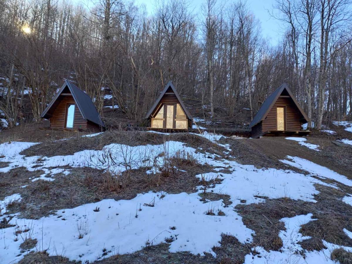 Holiday Bungalows Pajkovir コラシン エクステリア 写真