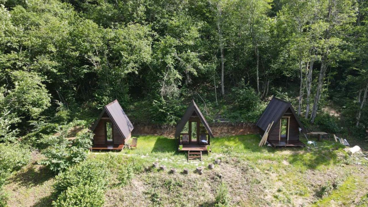 Holiday Bungalows Pajkovir コラシン エクステリア 写真