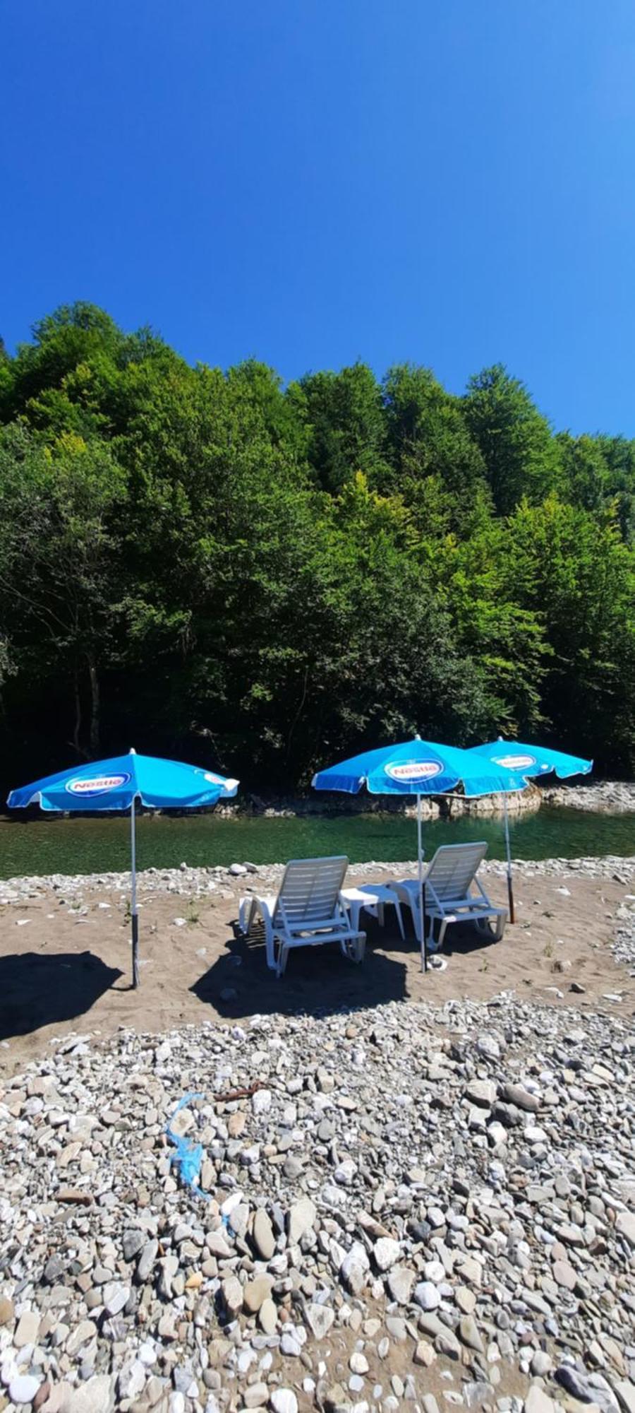 Holiday Bungalows Pajkovir コラシン エクステリア 写真