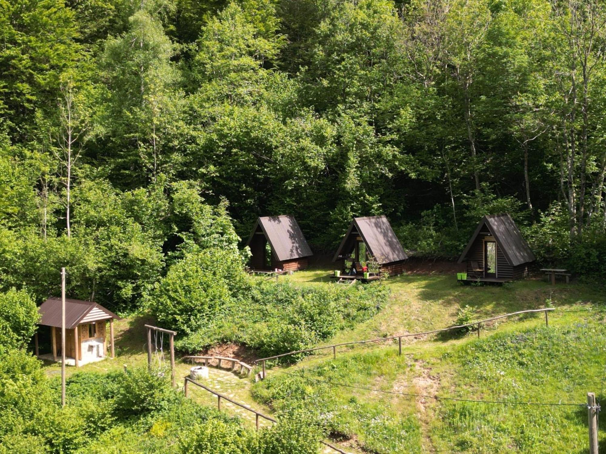 Holiday Bungalows Pajkovir コラシン エクステリア 写真